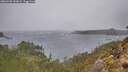 ./images/calvert/foggy-cove/20260203/foggy-cove20260203_151001M.jpg