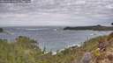 ./images/calvert/foggy-cove/20260204/foggy-cove20260204_143001M.jpg