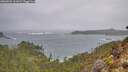 ./images/calvert/foggy-cove/20260204/foggy-cove20260204_161501M.jpg