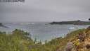 ./images/calvert/foggy-cove/20260204/foggy-cove20260204_164002M.jpg