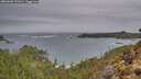 ./images/calvert/foggy-cove/20260204/foggy-cove20260204_171001M.jpg