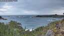 ./images/calvert/foggy-cove/20260206/foggy-cove20260206_081501M.jpg