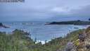 ./images/calvert/foggy-cove/20260207/foggy-cove20260207_081501M.jpg