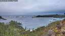 ./images/calvert/foggy-cove/20260207/foggy-cove20260207_082501M.jpg
