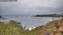 ./images/calvert/foggy-cove/20260207/foggy-cove20260207_090001M.jpg