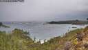 ./images/calvert/foggy-cove/20260207/foggy-cove20260207_091002M.jpg