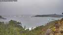 ./images/calvert/foggy-cove/20260207/foggy-cove20260207_093502M.jpg