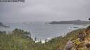 ./images/calvert/foggy-cove/20260207/foggy-cove20260207_110002M.jpg