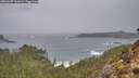 ./images/calvert/foggy-cove/20260207/foggy-cove20260207_111002M.jpg