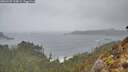 ./images/calvert/foggy-cove/20260207/foggy-cove20260207_114002M.jpg