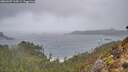 ./images/calvert/foggy-cove/20260207/foggy-cove20260207_114501M.jpg