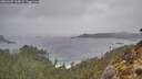 ./images/calvert/foggy-cove/20260207/foggy-cove20260207_124501M.jpg