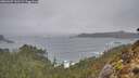 ./images/calvert/foggy-cove/20260207/foggy-cove20260207_131501M.jpg