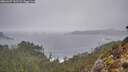 ./images/calvert/foggy-cove/20260207/foggy-cove20260207_132501M.jpg