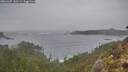 ./images/calvert/foggy-cove/20260207/foggy-cove20260207_141501M.jpg