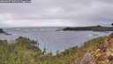 ./images/calvert/foggy-cove/20260207/foggy-cove20260207_150501M.jpg