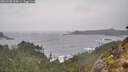 ./images/calvert/foggy-cove/20260208/foggy-cove20260208_100001M.jpg