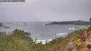./images/calvert/foggy-cove/20260208/foggy-cove20260208_122501M.jpg