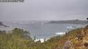 ./images/calvert/foggy-cove/20260208/foggy-cove20260208_141001M.jpg