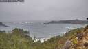 ./images/calvert/foggy-cove/20260209/foggy-cove20260209_133002M.jpg