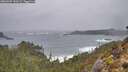 ./images/calvert/foggy-cove/20260209/foggy-cove20260209_140501M.jpg
