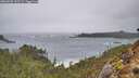 ./images/calvert/foggy-cove/20260209/foggy-cove20260209_143501M.jpg