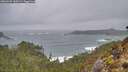 ./images/calvert/foggy-cove/20260209/foggy-cove20260209_160502M.jpg
