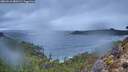./images/calvert/foggy-cove/20260210/foggy-cove20260210_080501M.jpg