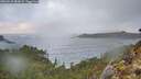 ./images/calvert/foggy-cove/20260210/foggy-cove20260210_083001M.jpg