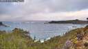 ./images/calvert/foggy-cove/20260210/foggy-cove20260210_090002M.jpg