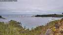 ./images/calvert/foggy-cove/20260211/foggy-cove20260211_082501M.jpg