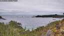 ./images/calvert/foggy-cove/20260211/foggy-cove20260211_085501M.jpg
