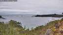 ./images/calvert/foggy-cove/20260211/foggy-cove20260211_090501M.jpg