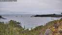 ./images/calvert/foggy-cove/20260211/foggy-cove20260211_092002M.jpg