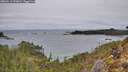 ./images/calvert/foggy-cove/20260211/foggy-cove20260211_093002M.jpg