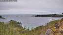 ./images/calvert/foggy-cove/20260211/foggy-cove20260211_094001M.jpg