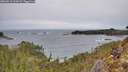 ./images/calvert/foggy-cove/20260211/foggy-cove20260211_111001M.jpg