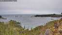 ./images/calvert/foggy-cove/20260211/foggy-cove20260211_111501M.jpg
