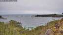 ./images/calvert/foggy-cove/20260211/foggy-cove20260211_112001M.jpg