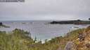 ./images/calvert/foggy-cove/20260211/foggy-cove20260211_112501M.jpg