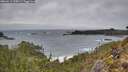 ./images/calvert/foggy-cove/20260211/foggy-cove20260211_134502M.jpg
