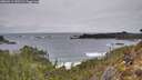 ./images/calvert/foggy-cove/20260211/foggy-cove20260211_142502M.jpg