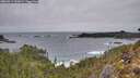 ./images/calvert/foggy-cove/20260211/foggy-cove20260211_145001M.jpg