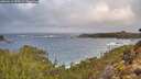 ./images/calvert/foggy-cove/20260212/foggy-cove20260212_090501M.jpg