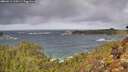 ./images/calvert/foggy-cove/20260212/foggy-cove20260212_110501M.jpg