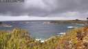 ./images/calvert/foggy-cove/20260212/foggy-cove20260212_112001M.jpg