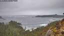 ./images/calvert/foggy-cove/20260213/foggy-cove20260213_082502M.jpg
