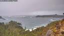 ./images/calvert/foggy-cove/20260213/foggy-cove20260213_083001M.jpg