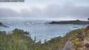 ./images/calvert/foggy-cove/20260214/foggy-cove20260214_080002M.jpg