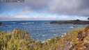 ./images/calvert/foggy-cove/20260214/foggy-cove20260214_110501M.jpg